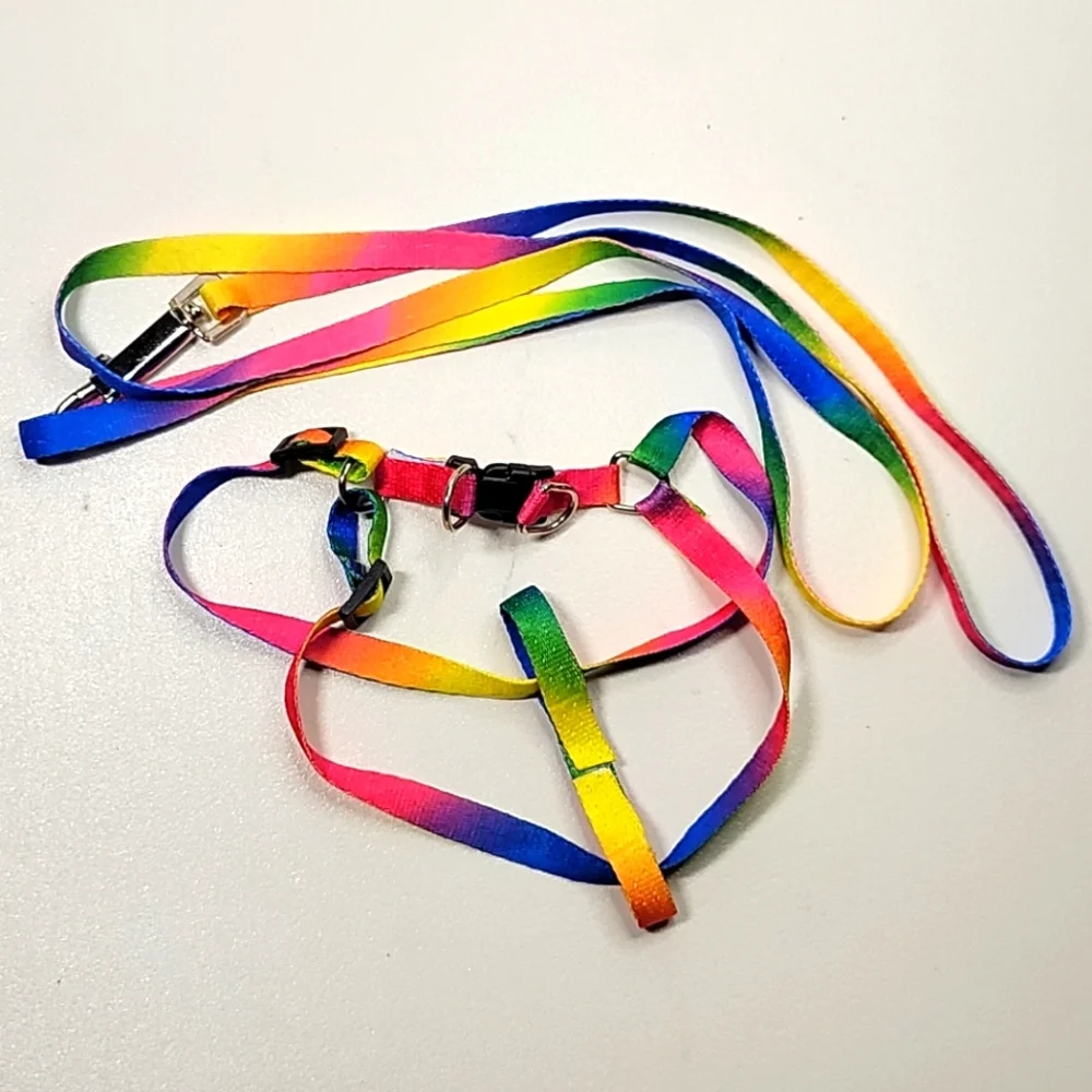 Dog leash & harness 2pc rainbow set NEW